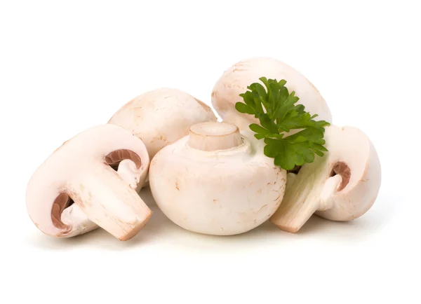 Champignon paddestoel en verse peterselie — Stockfoto