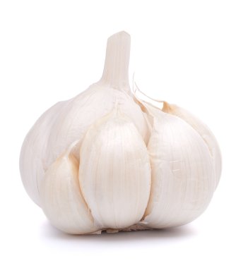 sarımsak ampul