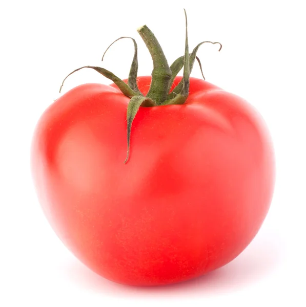 Legumbre de tomate —  Fotos de Stock