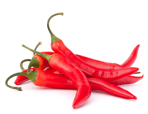 Hot red chili or chilli pepper