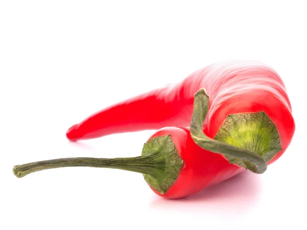 Chili rojo picante o chile —  Fotos de Stock