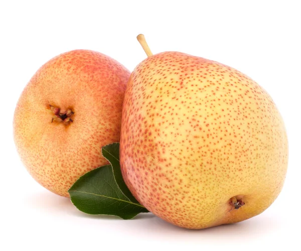 Ripe pear fruit — Stock Photo, Image