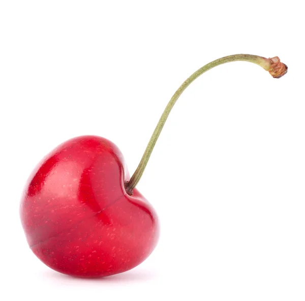 Bacca di ciliegia a forma di cuore — Foto Stock