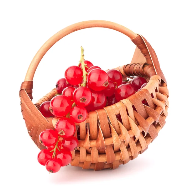 Grosellas rojas en cesta — Foto de Stock