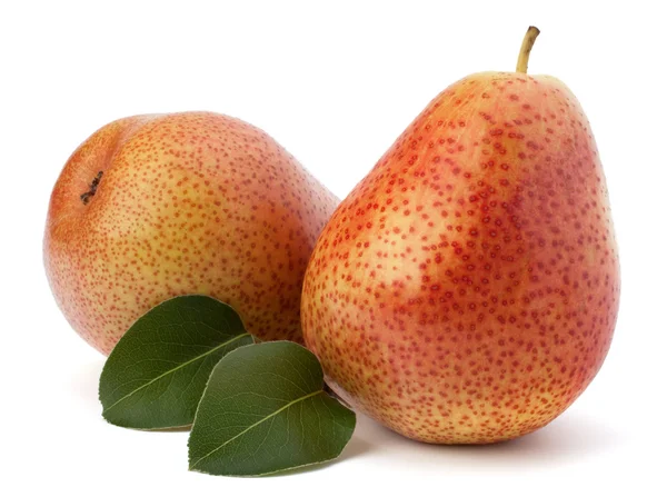 Pear fruits — Stock Photo, Image