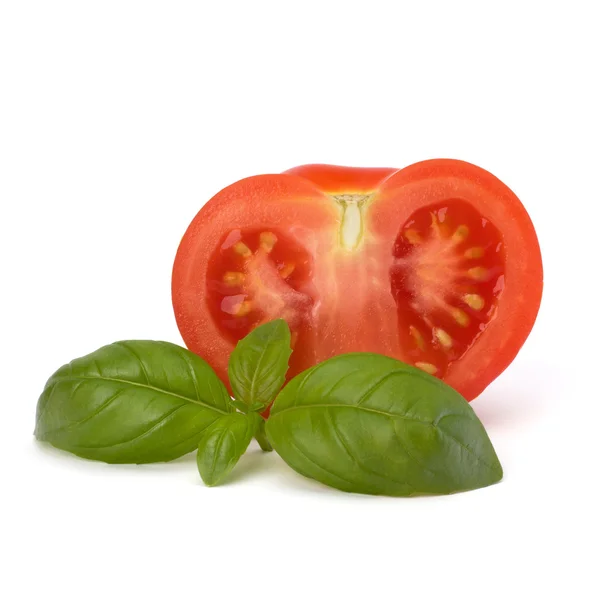 Liści pomidorów i bazylii — Zdjęcie stockowe
