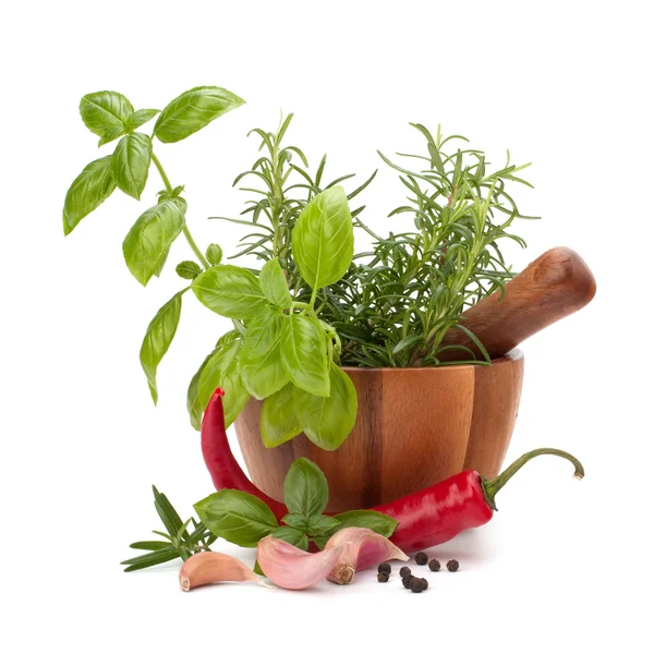 Fresh flavoring herbs and spices in wooden mortar — Stock Photo, Image