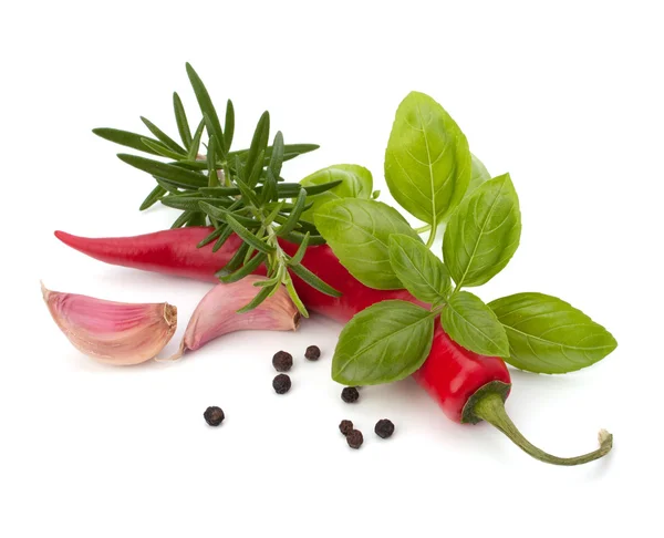 Chili pepper and flavoring herbs — Stock Photo, Image