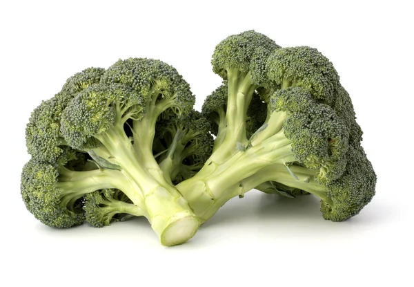 Broccoli vegetabiliska — Stockfoto