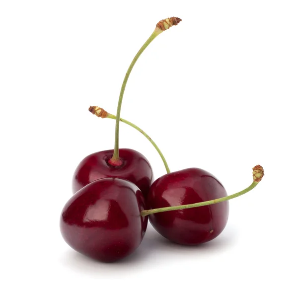 Cherry — Stock Photo, Image