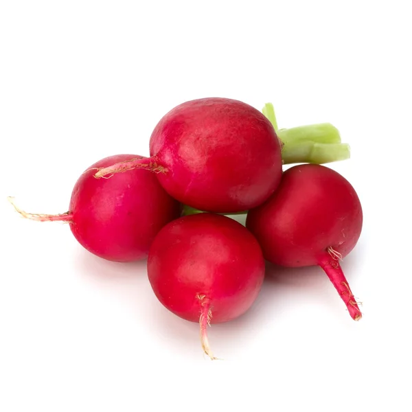 Small garden radish — Stock Photo, Image