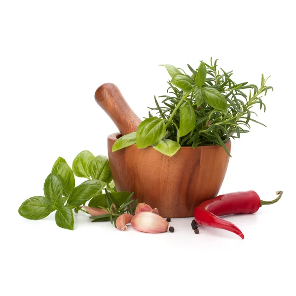 Fresh flavoring herbs and spices in wooden mortar — Stock Photo, Image