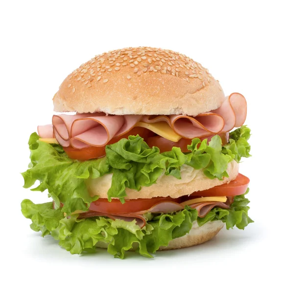 Junk food hamburger — Stock Photo, Image