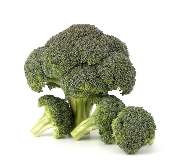 Broccoli vegetable — Stock Photo, Image