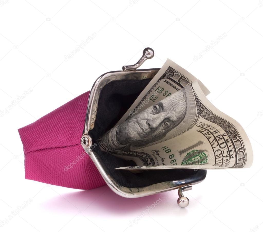 Purse with hundred dollar banknote