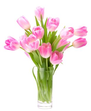 Pink tulips bouquet in vase isolated on white background clipart