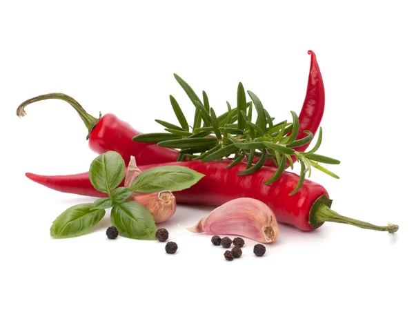 Chili pepper and flavoring herbs — Stock Photo, Image