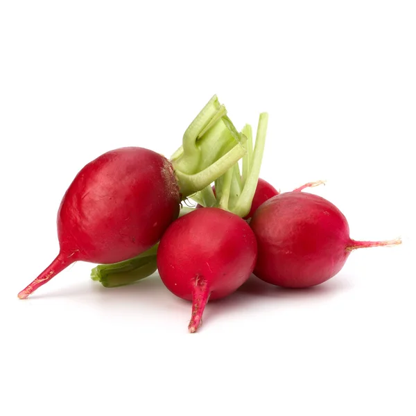 Small garden radish — Stock Photo, Image