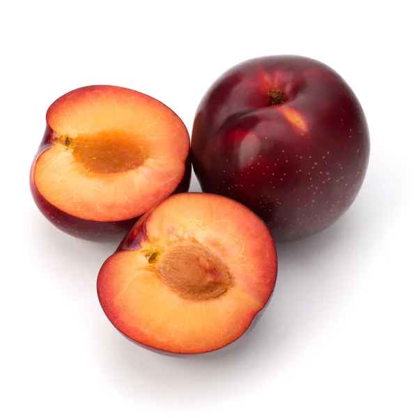 Rote Pflaumenfrucht — Stockfoto