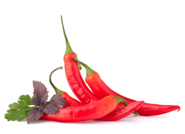 Chili rojo picante o chile y hierbas aromáticas hojas todavía l — Foto de Stock