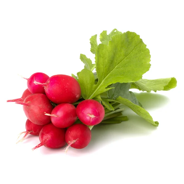 Small garden radish — Stock Photo, Image