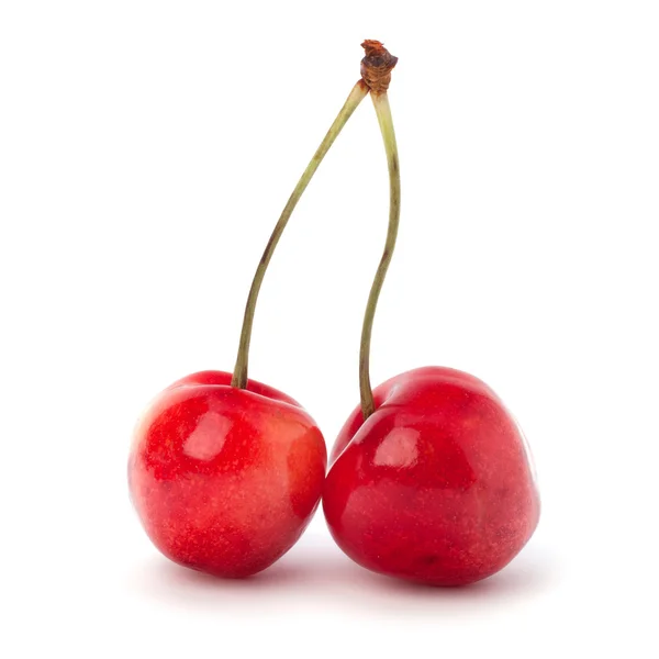 Two cherry berries — Stock Photo, Image