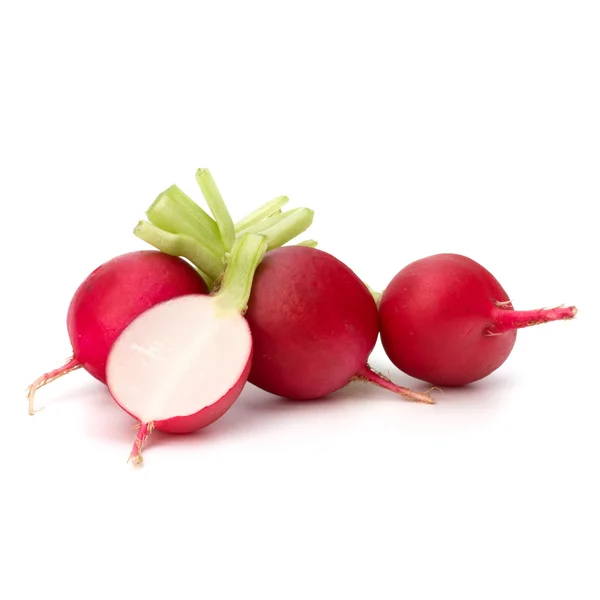 Small garden radish — Stock Photo, Image