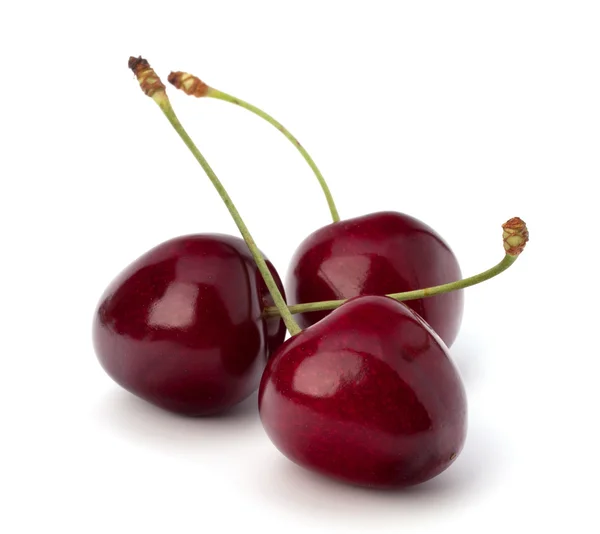 Cherry — Stock Photo, Image