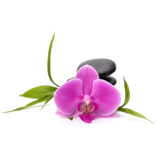 Zen pebbles balance. Spa and healthcare concept. — Stock Photo, Image