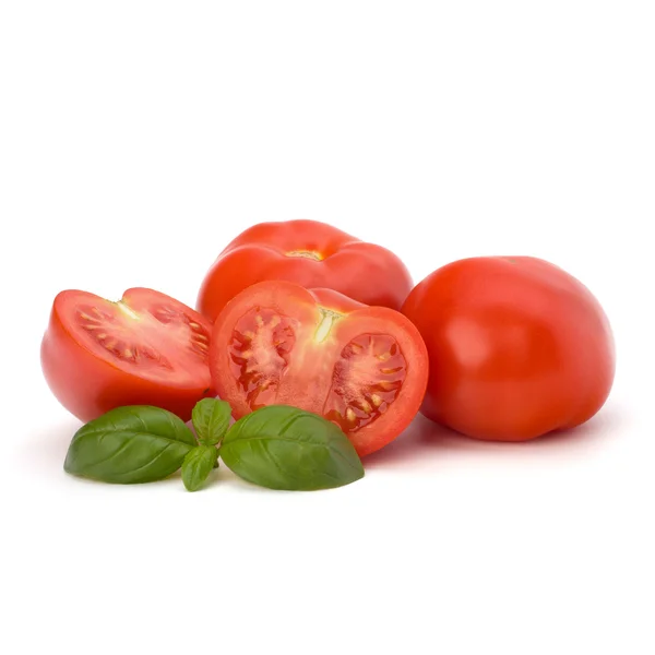 Foglia di pomodoro e basilico — Foto Stock