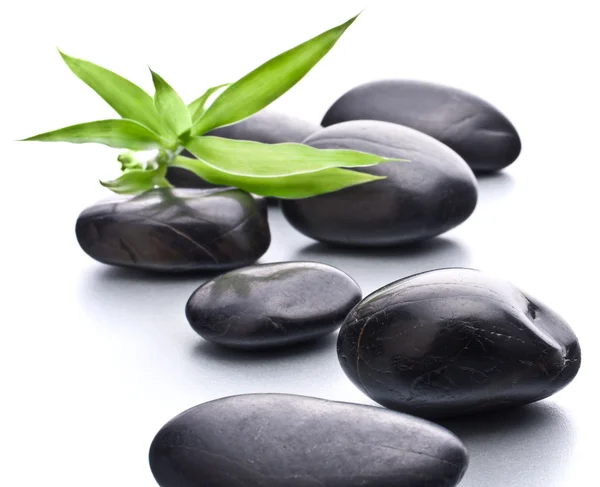 Zen pebbles. Stone spa and healthcare concept. — Stock Photo, Image