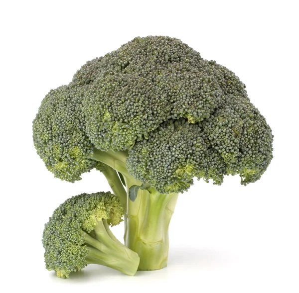 Broccoli legume — Fotografie, imagine de stoc