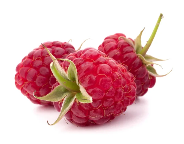 Reife Himbeeren — Stockfoto