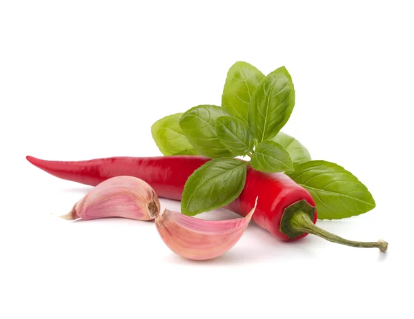 Chili pepper and flavoring herbs — Stock Photo, Image