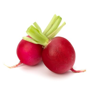 küçük Bahçe turp