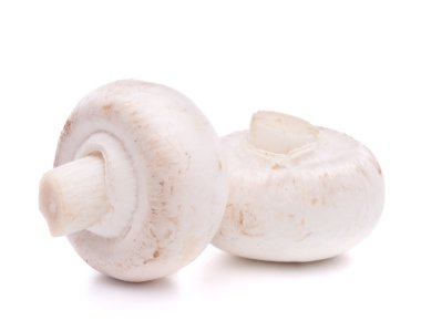 champignon mantarı