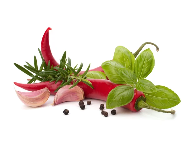 Chili pepper and flavoring herbs — Stock Photo, Image