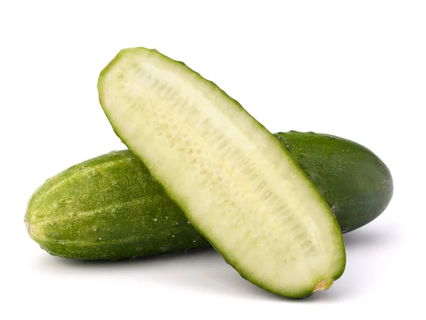 Pepino vegetal — Foto de Stock