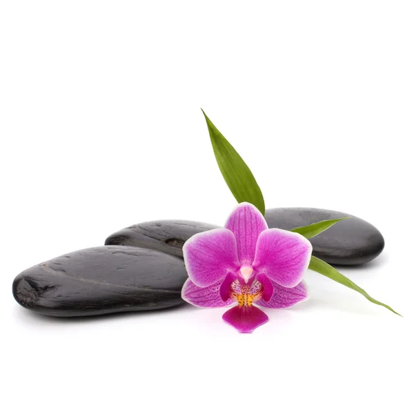 Zen pebbles path. Spa and healthcare concept. — Stock Photo, Image