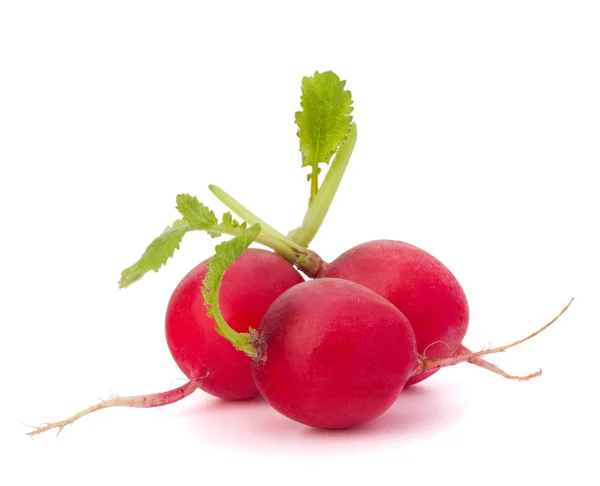 Small garden radish — Stock Photo, Image