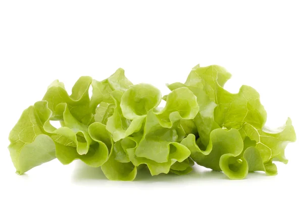Ramo de hojas de ensalada de lechuga fresca —  Fotos de Stock