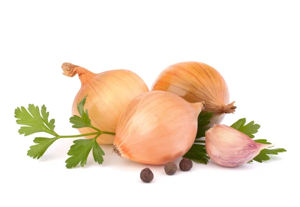 Onion and garlic clove — Stok fotoğraf