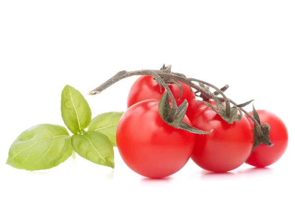 Cherry tomato Royalty Free Stock Images