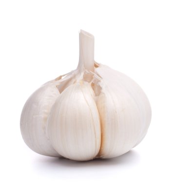 sarımsak ampul