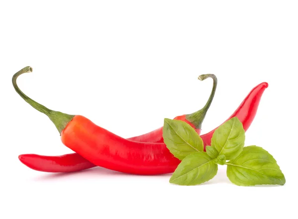 Hot red chili or chilli pepper and basil leaves still life — Stock Photo, Image