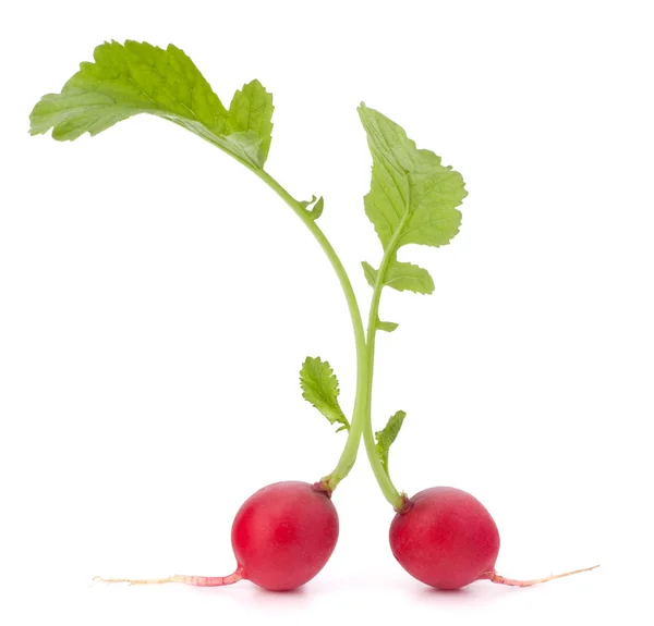 Small garden radish with leaves — Stock Photo, Image