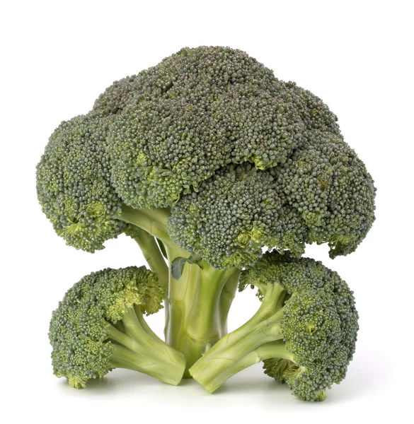 Broccoli plantaardige — Stockfoto