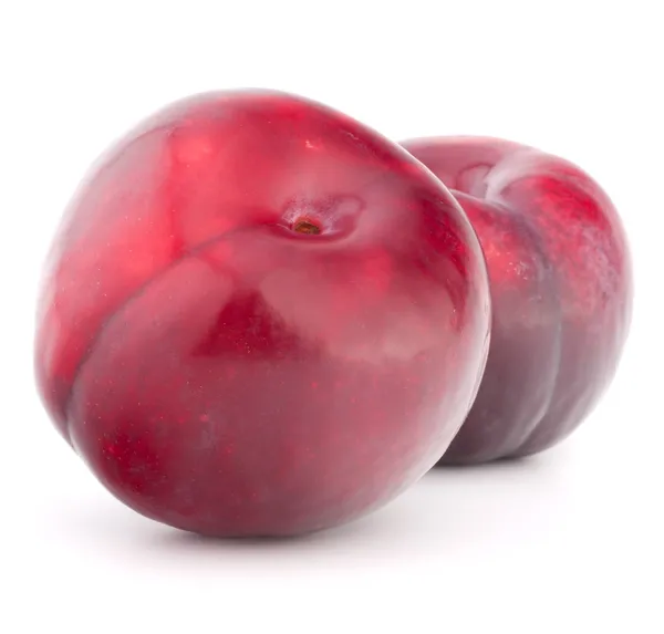 Ripe plum fruit — Stock Photo, Image