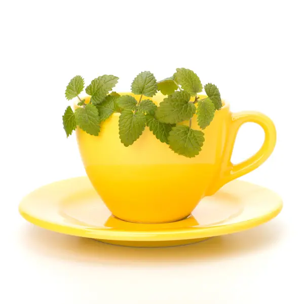 Chávena de chá de hortelã — Fotografia de Stock