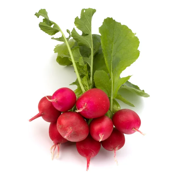 Small garden radish — Stock Photo, Image